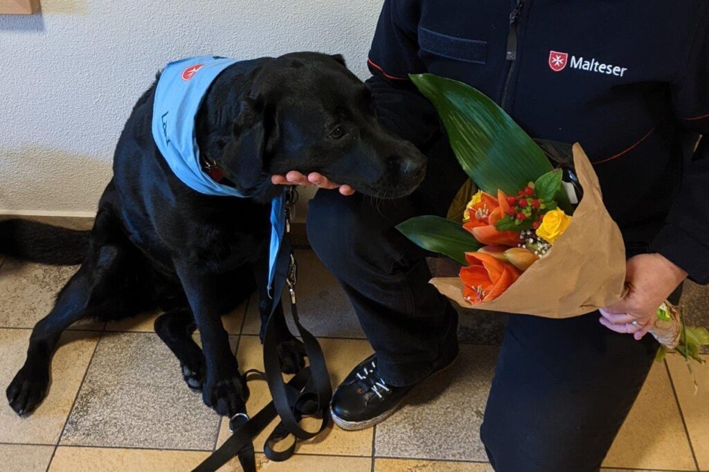 2024.12.6 Verschieden (6), Schamann – Kopie