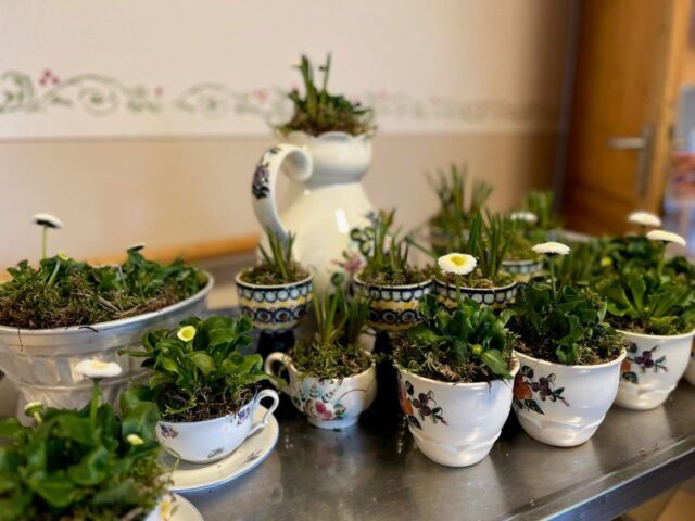 2025.3.20 Frühling (4)
