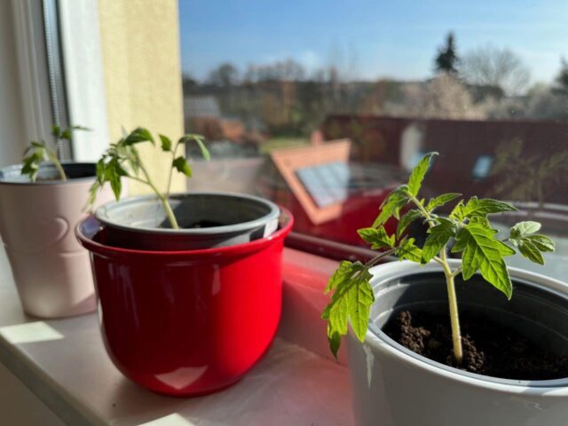 2025.4.11 Verschiedenes (3)