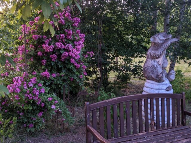 2025.6.25 Garten (15)