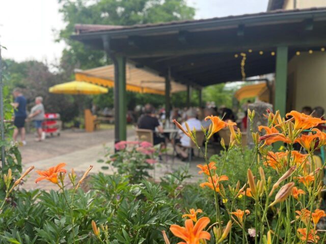 2025.6.26 Sommerabend (61)