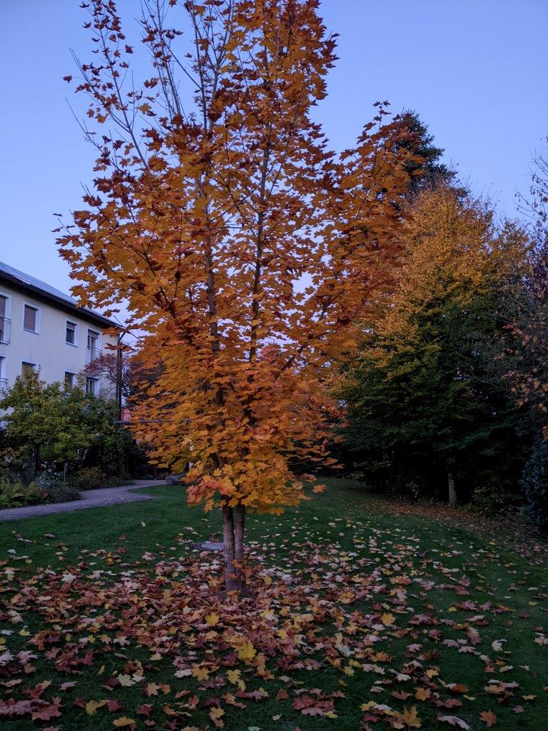 PXL_20251015_164459179