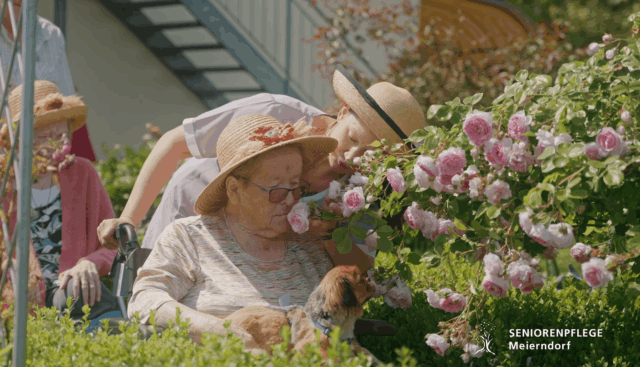 Bildschirmfoto 2026-01-28 um 12.26.34