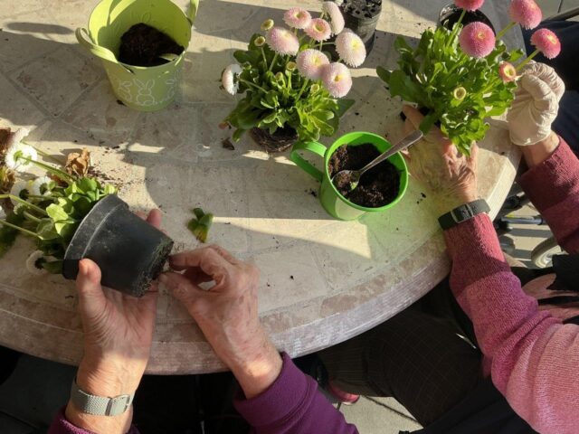 2026.02.26 Frühjahrsputz+ (5) (1)