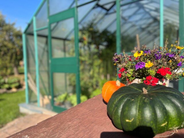 2026.09.29 Herbst (9)